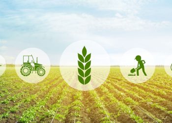 What Does the Future Hold for Nigeria's Agricultural Sector in 2025?