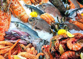 Global appetite for seafood opens opportunity for Nigerian exporters