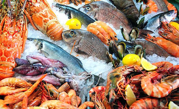 Global appetite for seafood opens opportunity for Nigerian exporters
