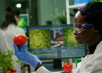 Surprising Facts on How Tech is Revolutionizing Nigeria’s Agriculture.