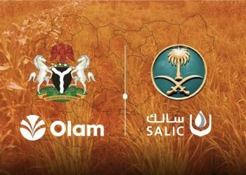 What Does the Future Hold for Olam Agri as SALIC Eyes Full Ownership?