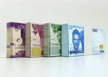 Naira Stabilizes as CBN’s Bold Rate Hike Reshapes Currency Dynamics