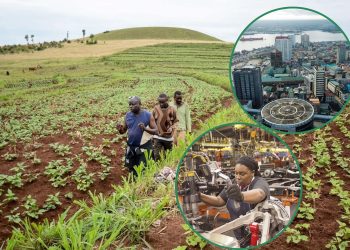 HOW WILL NIGERIA'S AGRICULTURE SECTOR SHAPE ITS ECONOMY IN 2025?