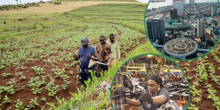 HOW WILL NIGERIA'S AGRICULTURE SECTOR SHAPE ITS ECONOMY IN 2025?