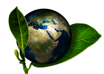 Why You Should Be In The Renewable Energy Business