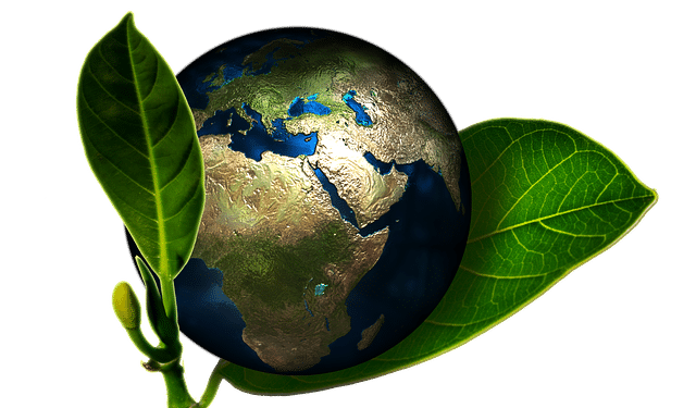 Why You Should Be In The Renewable Energy Business 1 Why You Should Be In The Renewable Energy Business