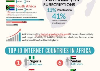 Top 10 Internet Countries in Africa