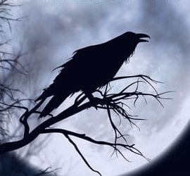 New York Times best-selling author David Morrell joins Poe-inspired anthology