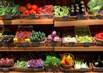 7 best countries for Nigerians looking to start a business abroad